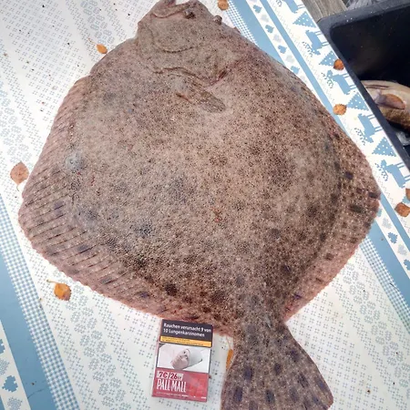 Апартаменты Asferiehus