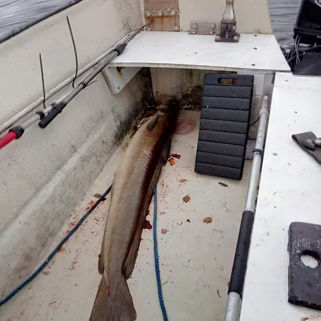 Asferiehus Apartmán Flekkefjord